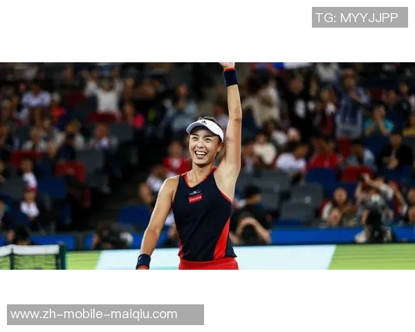 许钟豪的奋斗历程与成功秘诀探秘：从平凡到卓越的蜕变之路